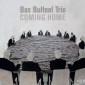 Coming Home - Bas Bulteel Trio