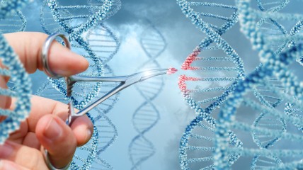 Het genetisch geheugen. Wat DNA ons leert over ons verleden